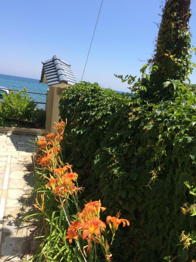 Aegean Blue Villa Platamonas Exterior photo